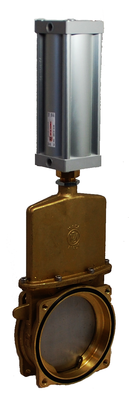 MZARZO0080150570